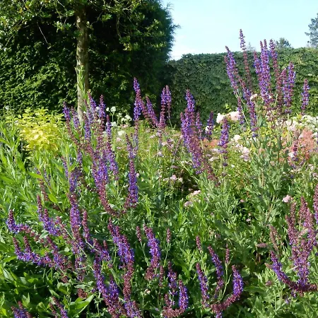 B&B Le Chant Du Coucou 위이