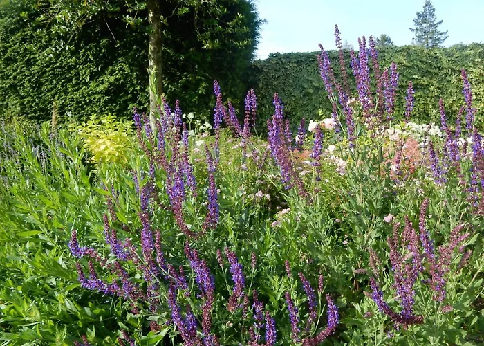 Couette-café Le Chant Du Coucou Huy